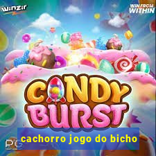 cachorro jogo do bicho